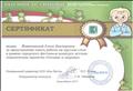 Сертификат участника городского фестиваля-конкурса детских тематических проектов "Питание и здоровье". 2017